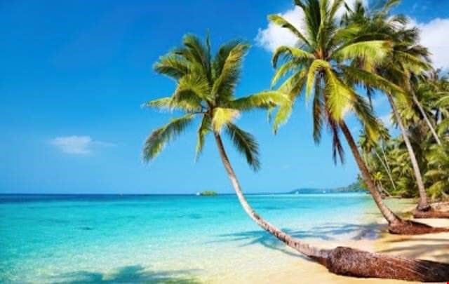 Hotel Koh Kood (Kut) nomad remote 7794ae81-0c9c-4da0-b72b-de1e3e5e2690_Palms Beach klong Chao.jpg
